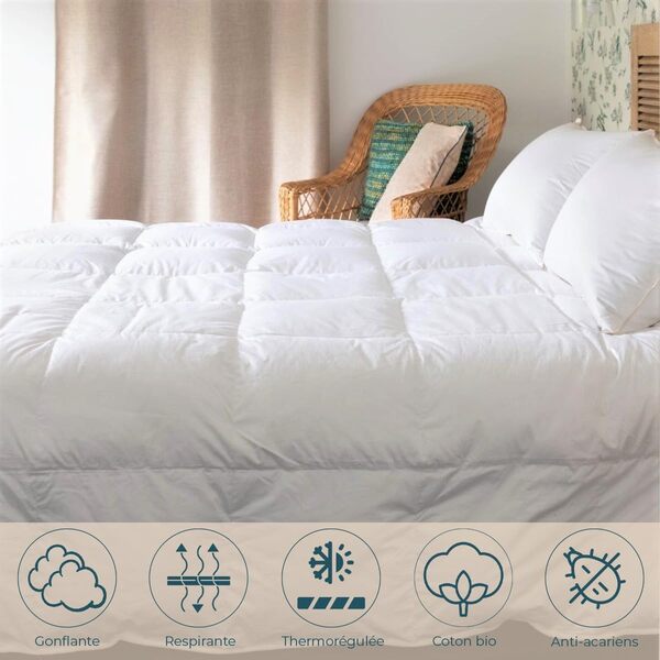 CASTEX - Couette Tempérée Duvet d'oie/Coton Bio 140x200