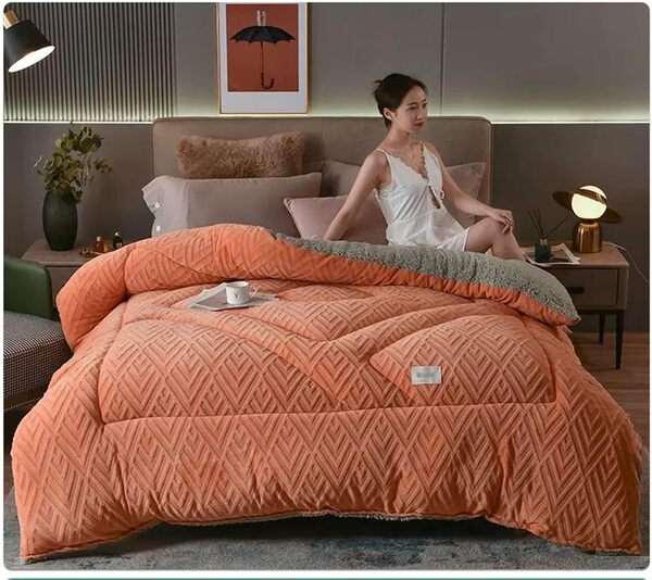 GOFOHIMI Couverture Polaire Lourde 2.5-5kg Pour Lit 2 Personnes, Plaid Doux et Chaud, Jeté de Canapé en Flanelle, Couette d'Hiver en Velours d'Agneau, C, 220x240cm/5kg
