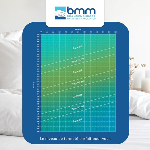 BMM Matelas 140x190 cm Ortho Medic avec Noyau à Ressorts ensachés - Niveau de fermeté H4/certifié Öko-Tex - Matelas Ergonomique à 7 Zones - Hauteur 21 cm - Fabriqué en Allemagne