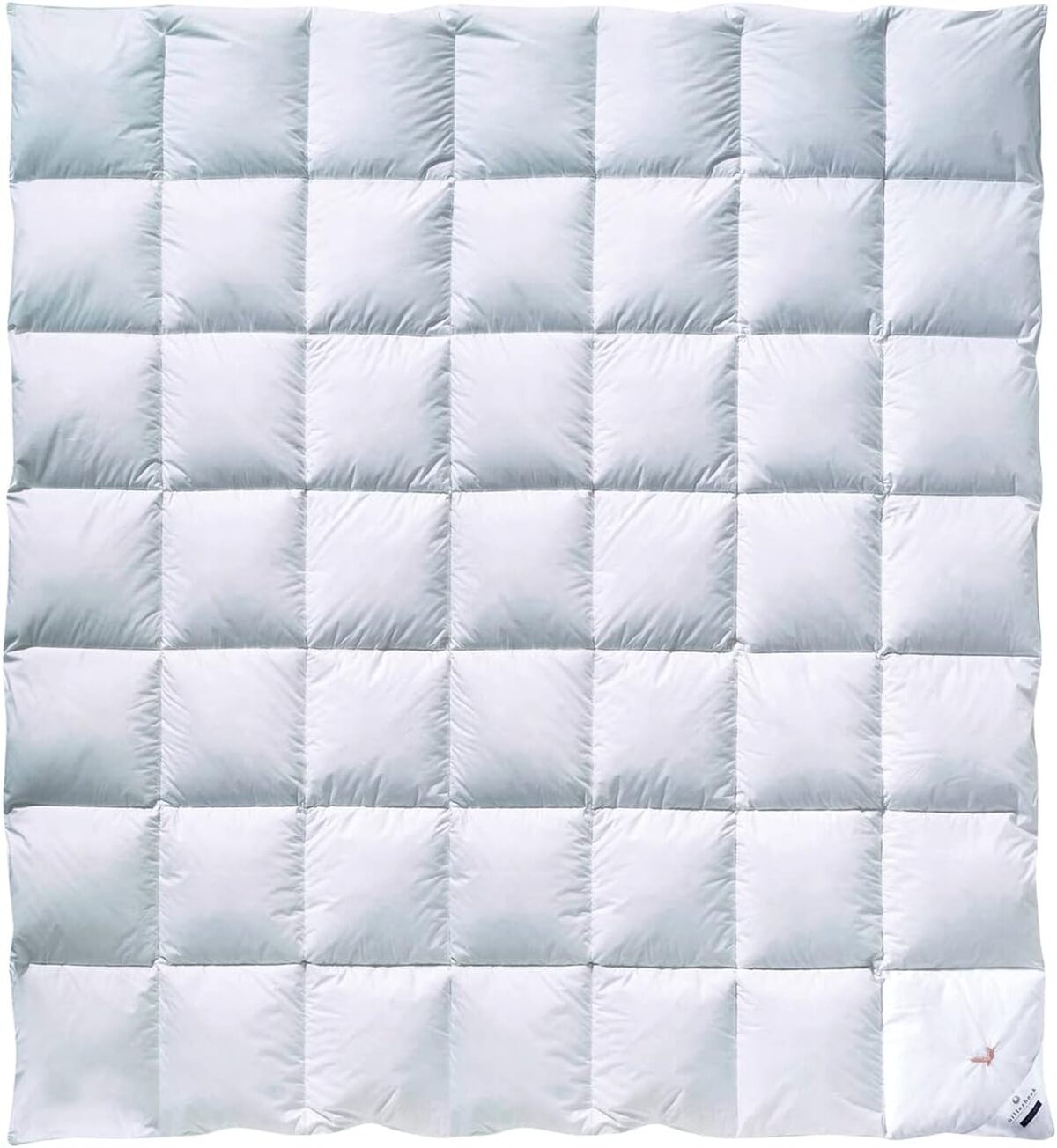 Test couette en duvet Billerbeck Gold Edition 200x200 cm
