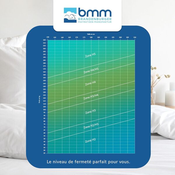 BMM Matelas 160x200 cm Classique 19, degré de dureté H5 Ultra Ferme/Matelas en Mousse Froide certifié Öko-Tex/Ergonomique, 7 Zones, épaisseur 19 cm/Matelas fabriqué en Allemagne.